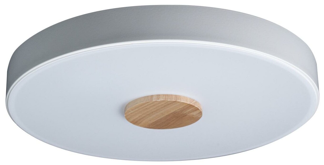 Светильник потолочный "Loft IT" Morave, 10003/24 White, 40W, E14