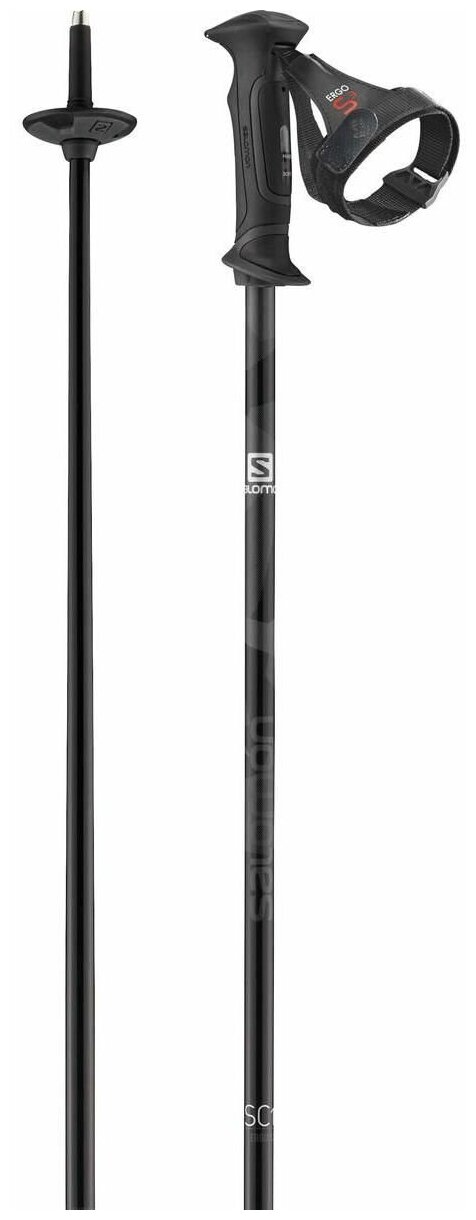 Горнолыжные палки Salomon SC1 ERGO S3 Blk 120