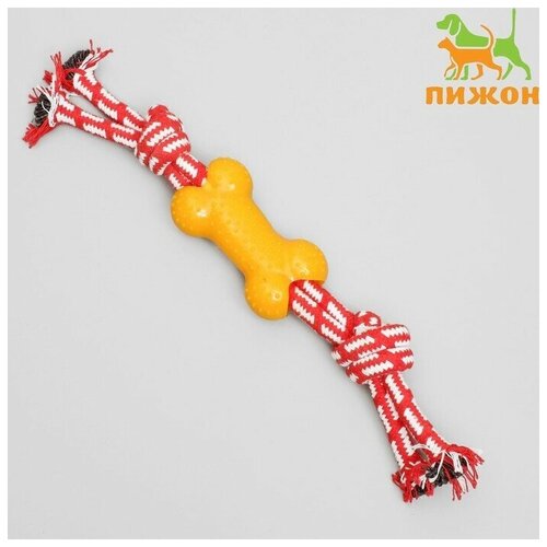 Игрушка канатная двойная с косточкой, до 30 см, до 85 г,