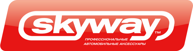 SKYWAY S10801005 Пылесос 12 В Skyway Торнадо 60 Вт 4000Па с подсветкой 4 насадки в сумке