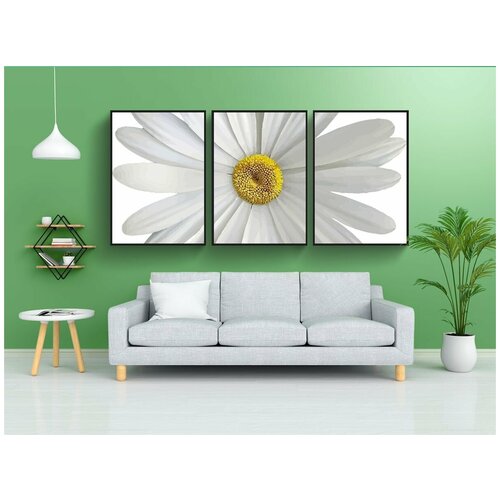 фото Набор модулных постеров для интерьера "маргарита, белый, блум" 60x90 см. в тубусе, без рамки lotsprints