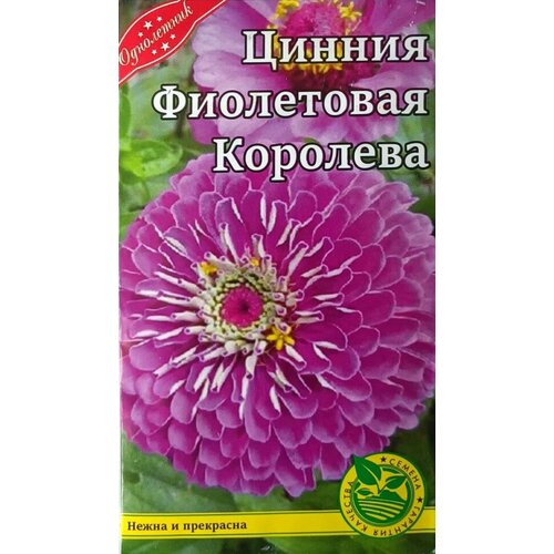 Семена Цветов Цинния Фиолетовая Королева однолетник 0,3 г