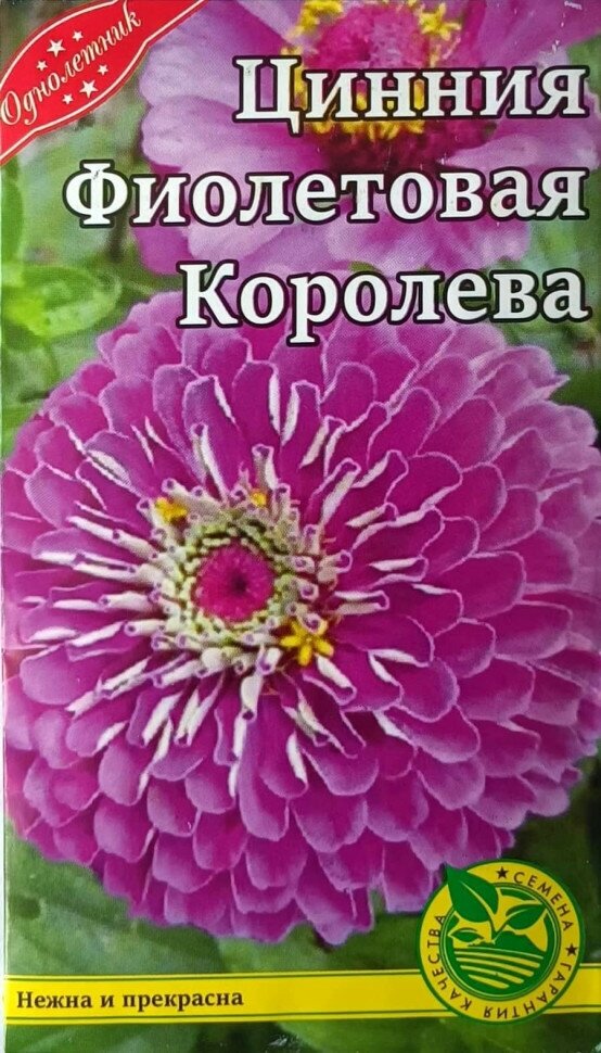 Семена Цветов Цинния Фиолетовая Королева однолетник 03 г