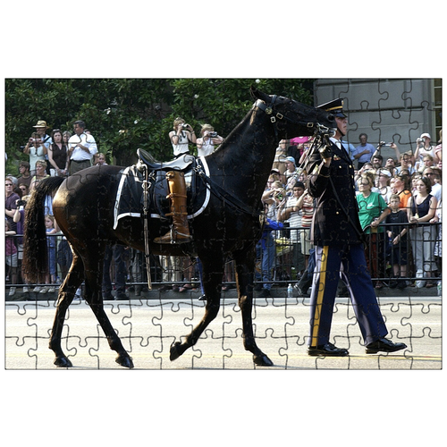 фото Магнитный пазл 27x18см."лошадь, riderless, сапоги повернул назад" на холодильник lotsprints