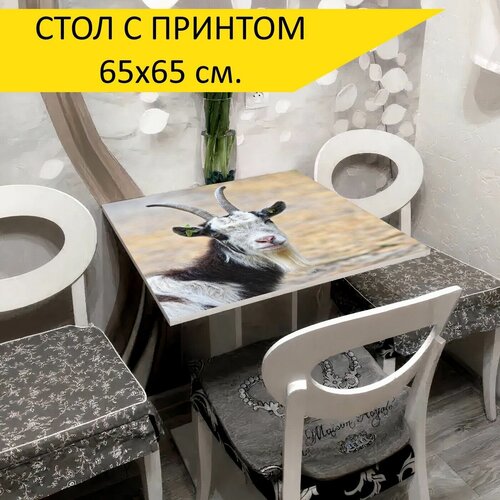 Стол 
