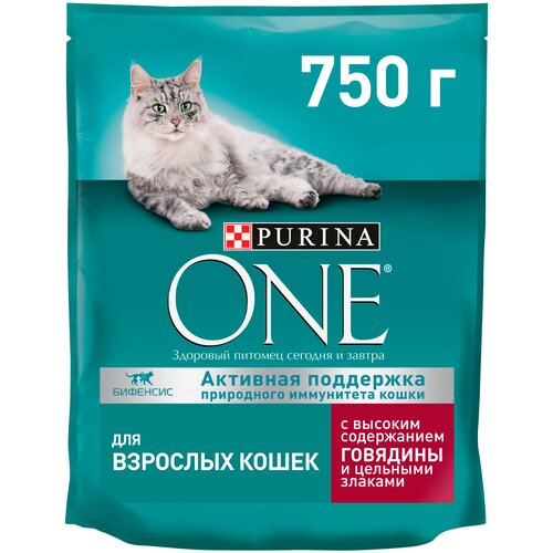 Сухой корм Purina ONE для взрослых кошек с говядиной и пшеницей, Пакет, 750 г,Для взрослых кошек