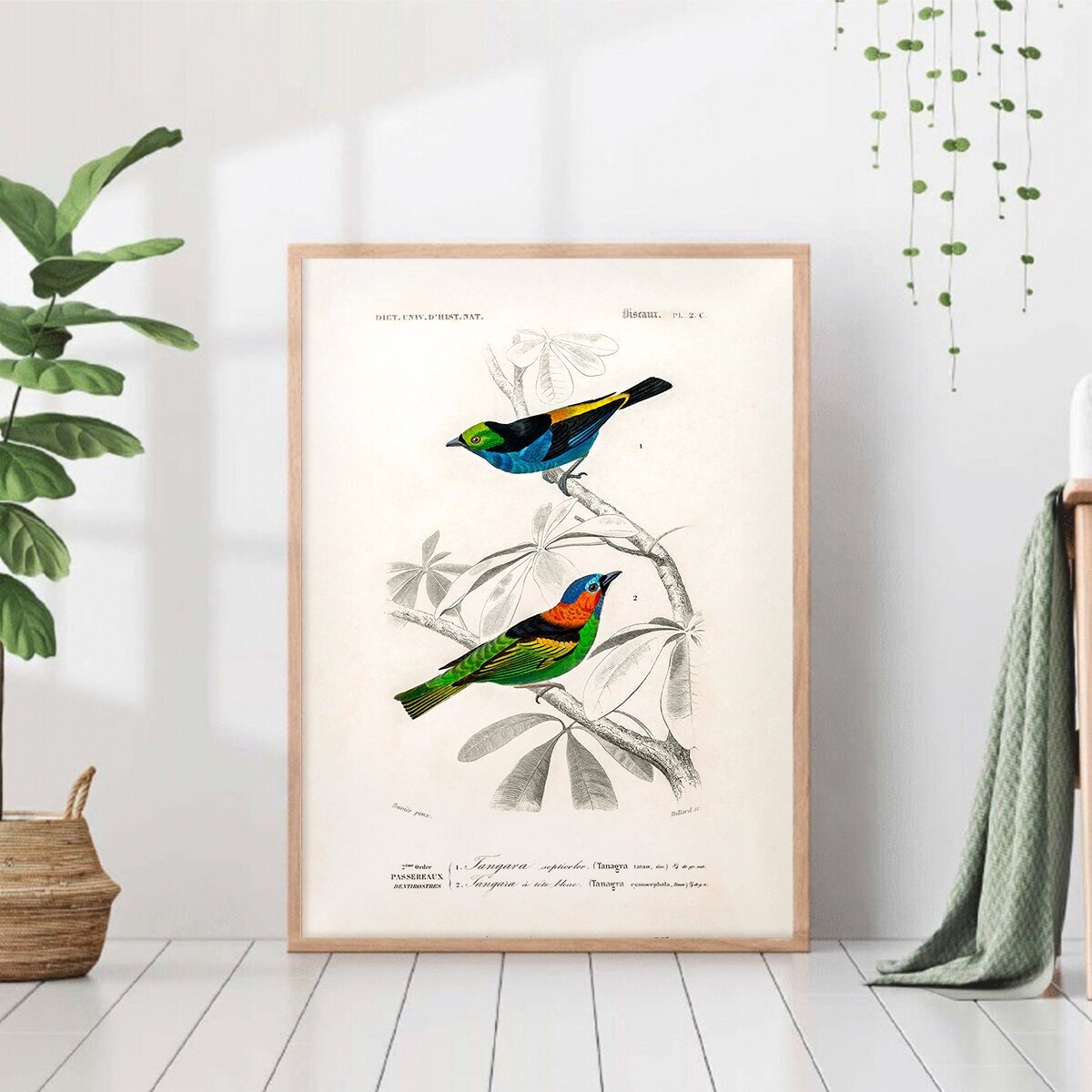 Две птицы на ветке иллюстрация в ретро стиле