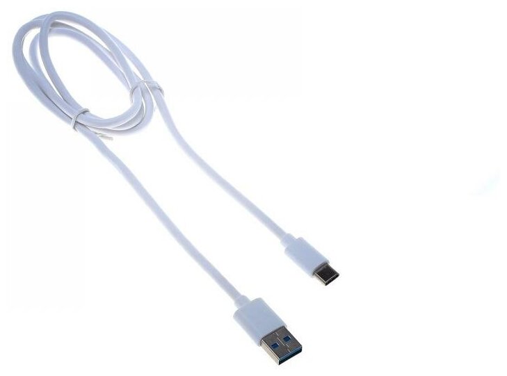 Кабель Buro USB 3.1-USB Type-C (m) 1м (BHP USB3-TPC 1)