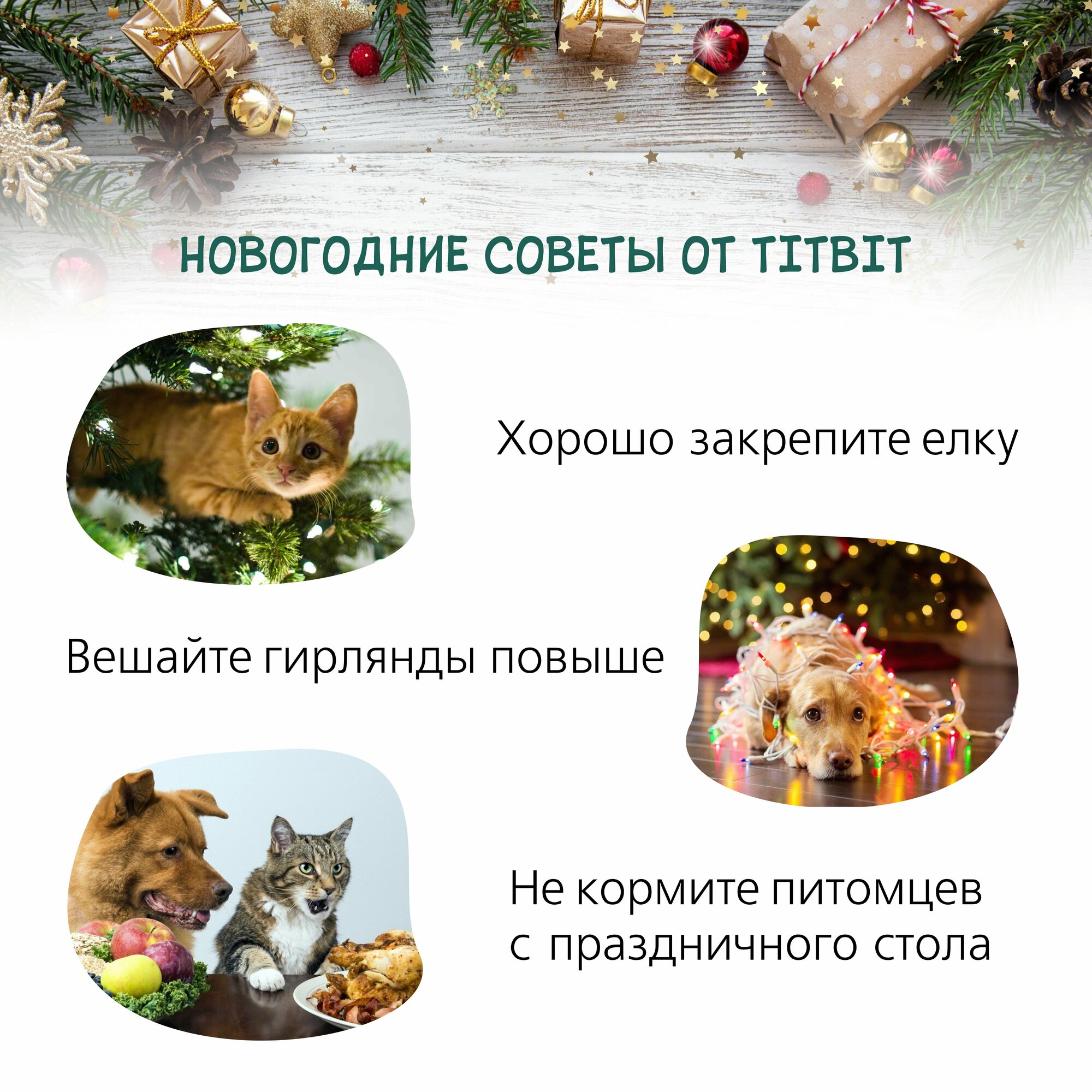 Лакомство для кошек TITBIT колбаски говяжьи, 60 г - фото №3