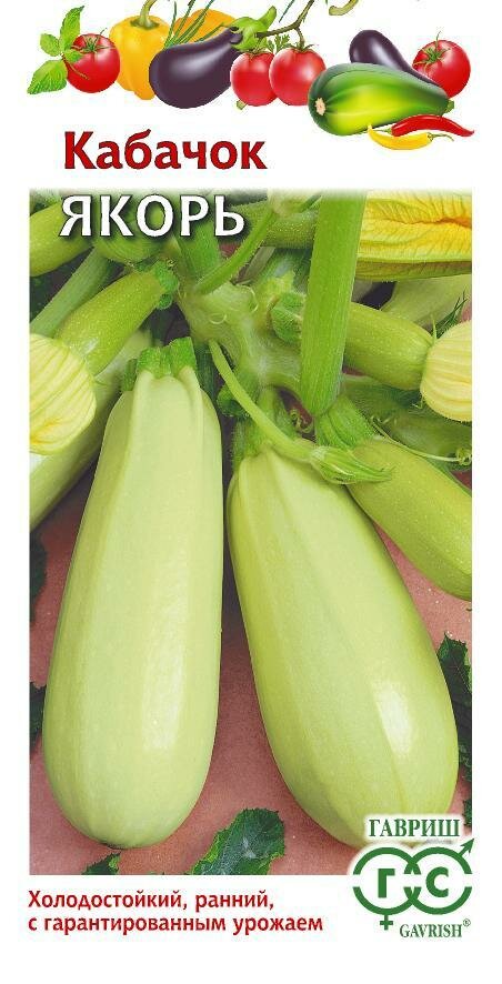 Семена Кабачок Якорь 2г (Гавриш)