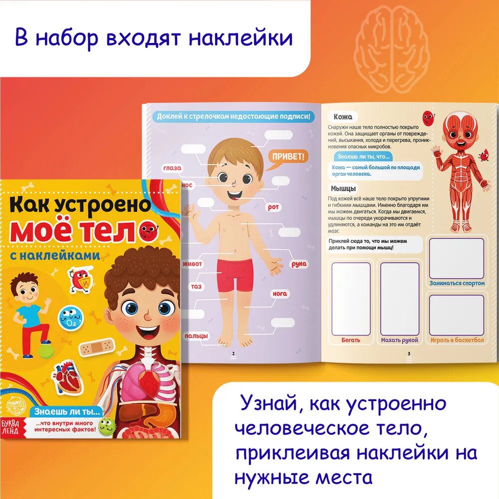 Наклейки детские "Как устроено мое тело" книжка 16 стр, БУКВА-ЛЕНД — фото 1