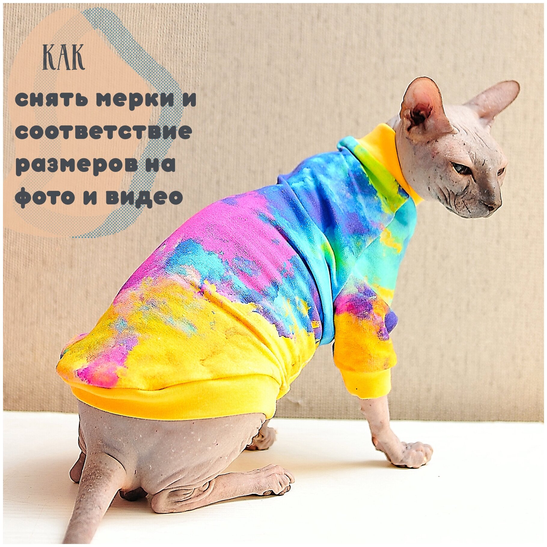 Одежда для кошек и котов - трикотажная кофта с рисунком Фестиваль красок, подходит для сфинксов - фотография № 6