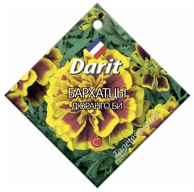 Семена Darit 