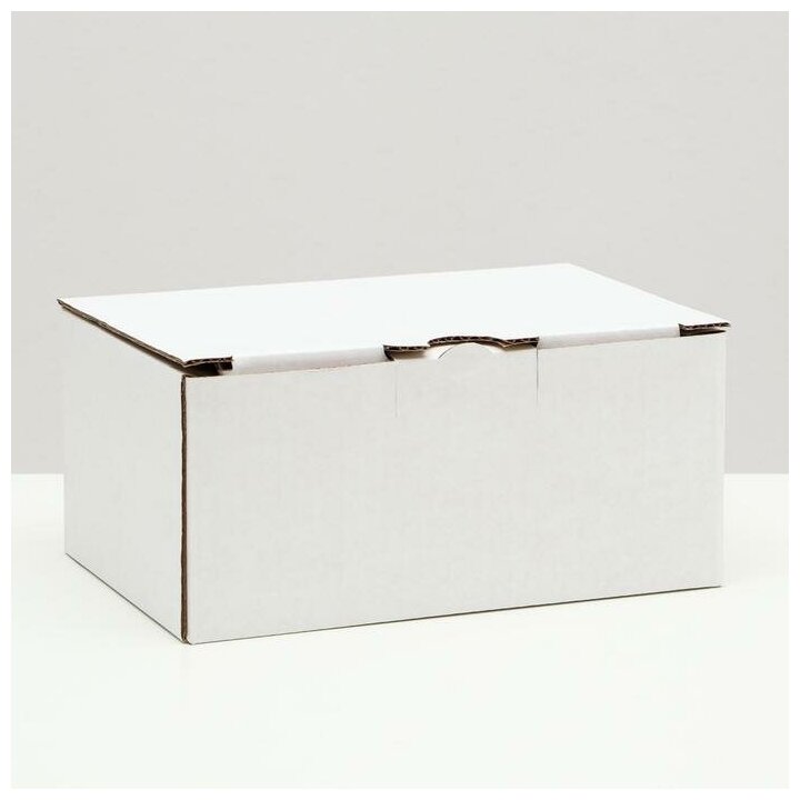 Коробка-пенал, белая, 22 х 15 х 10 см(10 шт.)