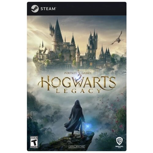 Игра Hogwarts Legacy – Deluxe Edition для PC (версия для СНГ, кроме РФ и РБ), Steam, электронный ключ игра hogwarts legacy standard edition для pc активация steam электронный ключ