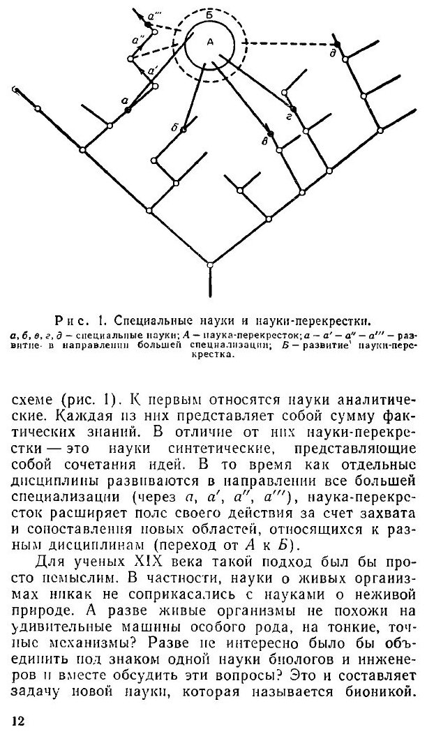 Бионика (Жерарден) - фото №9