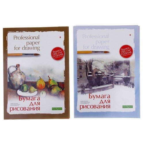 Папка для рисования А3, 20 листов Профессиональная серия, блок 150 г/м2, гознак, микс