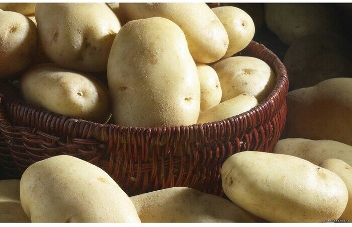 Семенной картофель "Крепыш" 2 кг Элита, р/р 28/55 - фотография № 5