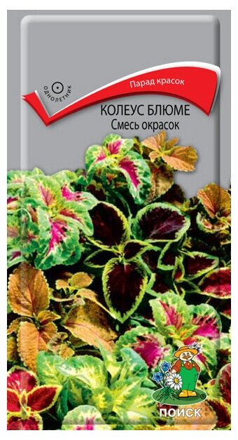 Семена Колеус блюме смесь окрасок 0,1г для дачи, сада, огорода, теплицы / рассады в домашних условиях