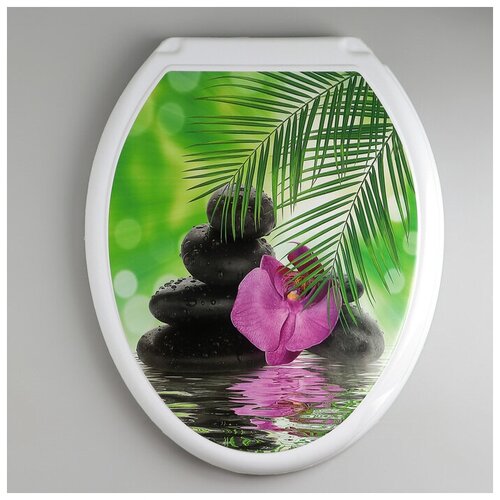 Сиденье для унитаза с крышкой Росспласт Декор Орхидея445х37см цвет белый 830₽