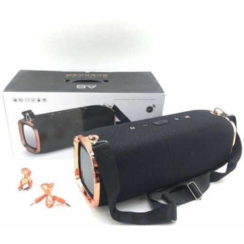 Портативная колонка A6 Black 275000₽