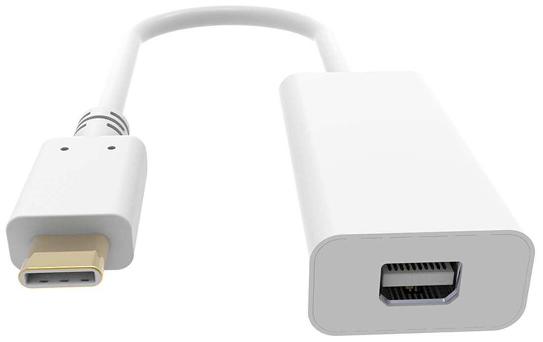 Адаптер BURO USB Type-C (m), miniDisplayPort (f), белый [bhp ret tpc_mdp] - фото №1