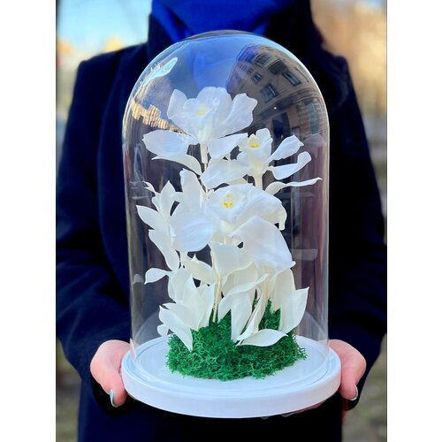 Композиция 