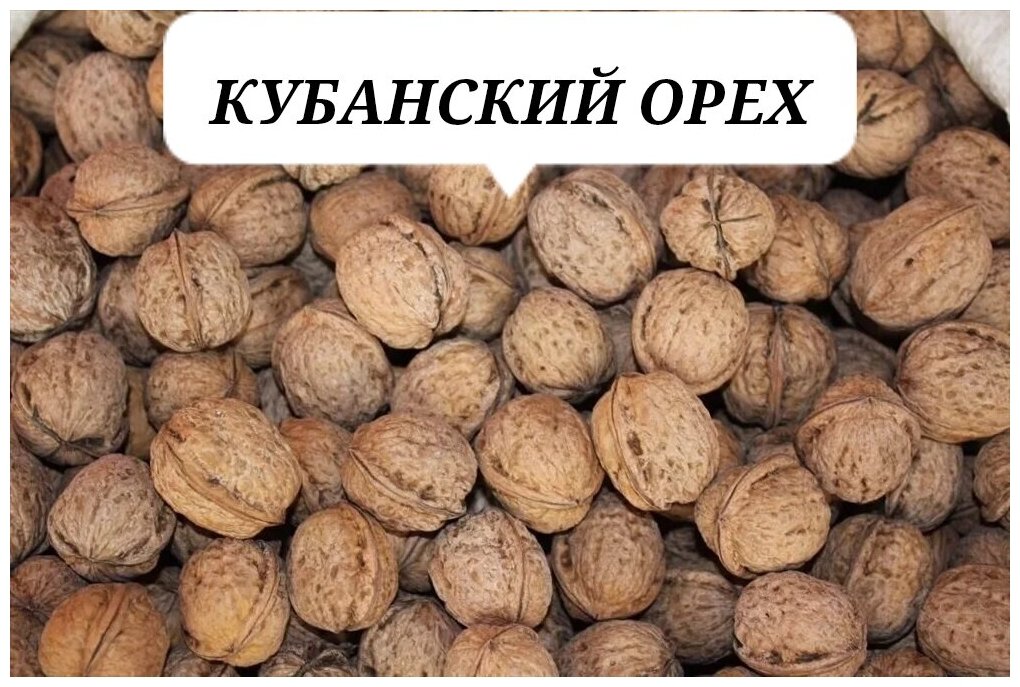 Грецкий орех Кубани 2 кг - фотография № 2