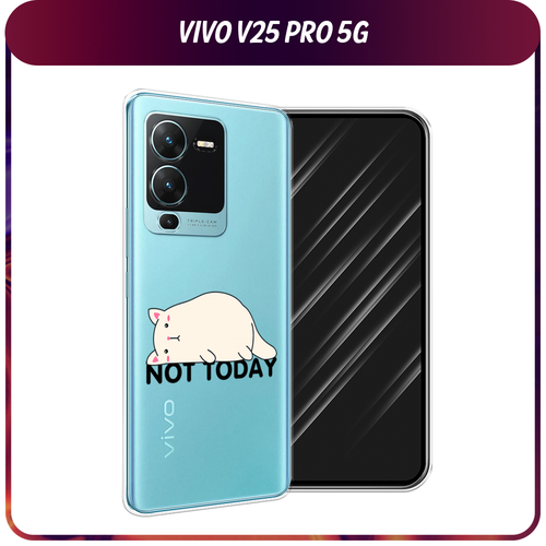 Силиконовый чехол на Vivo V25 Pro 5G / Виво V25 Про 5G Cat not today, прозрачный силиконовый чехол на vivo v25 pro 5g виво v25 про 5g горы 11