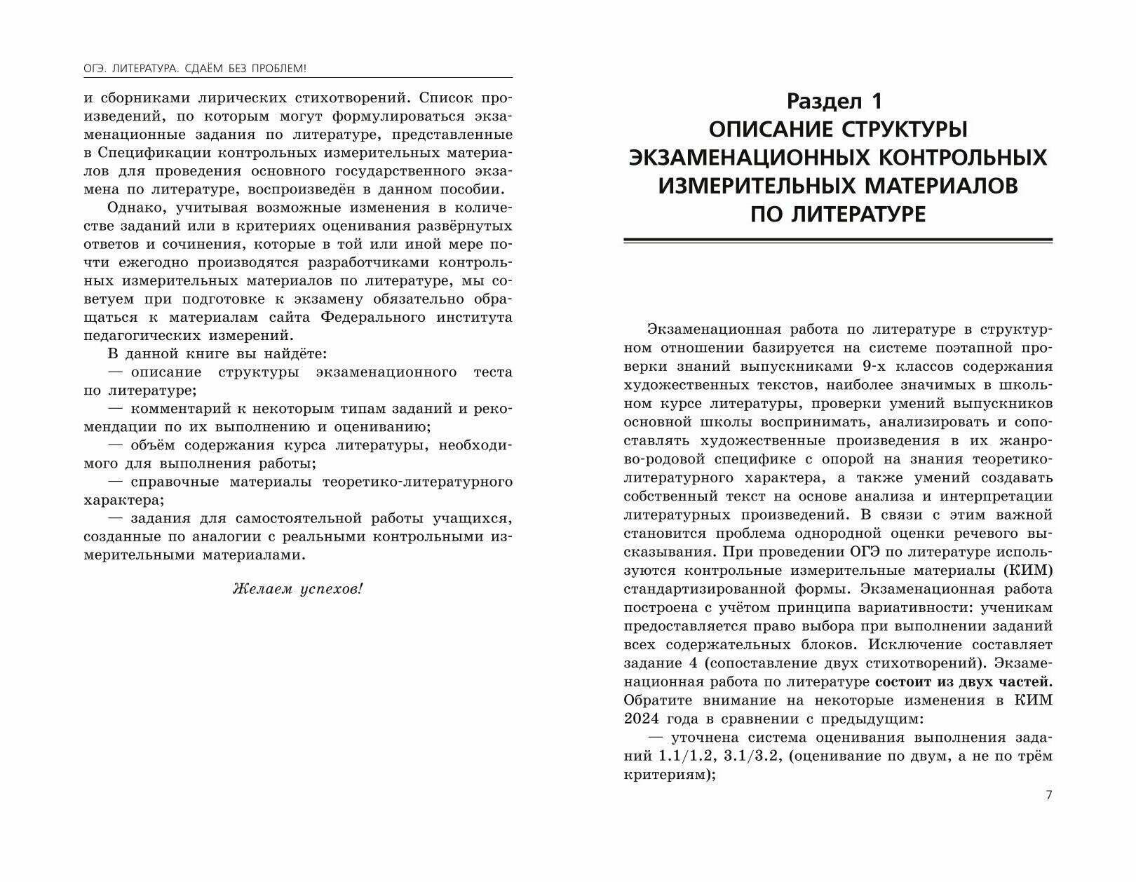 ОГЭ-2025. Литература (Самойлова Елена Александровна) - фото №3