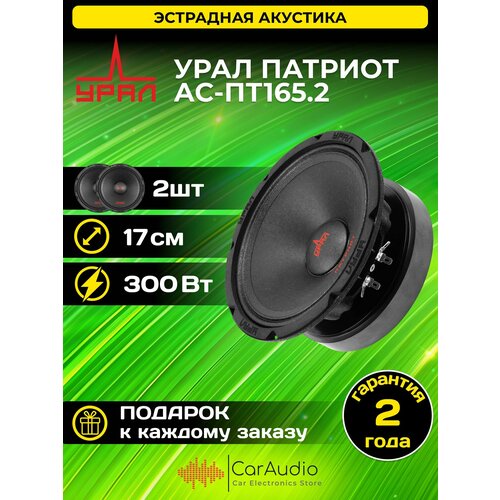 Эстрадная акустика урал АС-ПТ1652 патриот 170мм 2шт 8859₽
