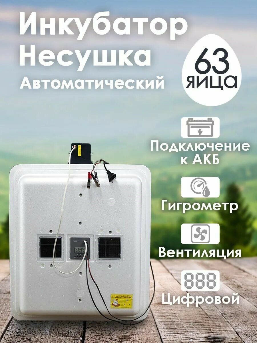 Инкубатор Несушка на 63 яйца автопереворот, цифровой терморегулятор, гигрометр, вентилятор (12/220В) (арт.46вг)
