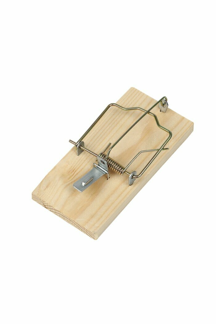 Крысоловка, 6×12 см, деревянная, Greengo