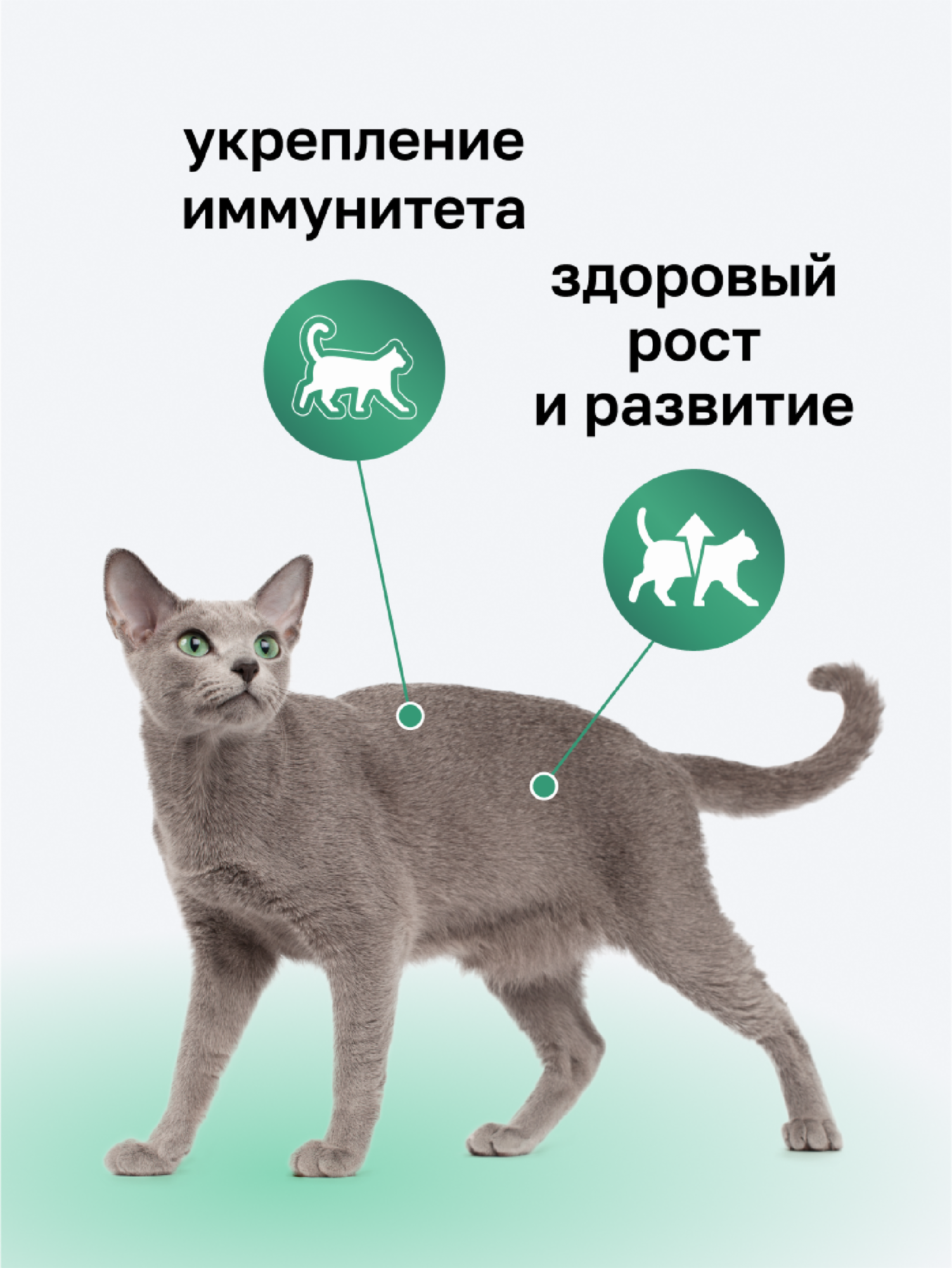Organix Премиум Воздушный паштет с индейкой для кошек, 70% мяса, влажный корм, 100 г — фото 1