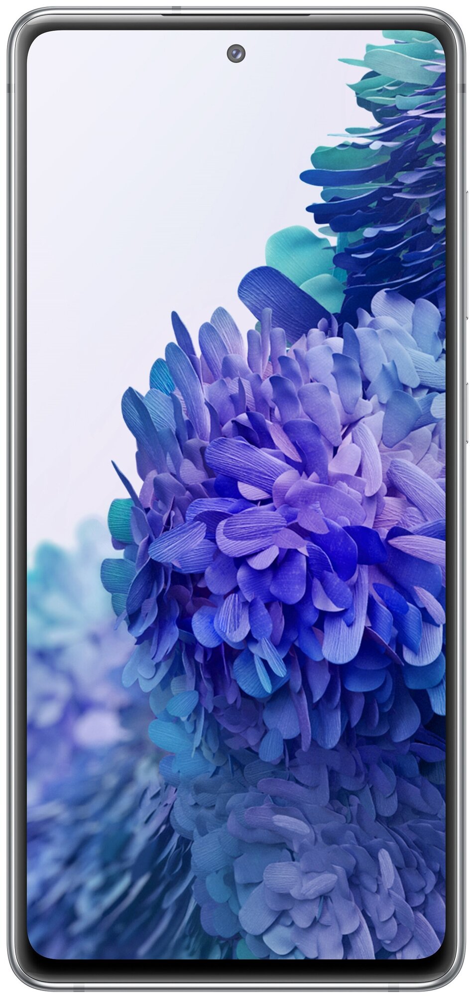 Фото #2: Samsung Galaxy S20 FE 128GB (SM-G780G)