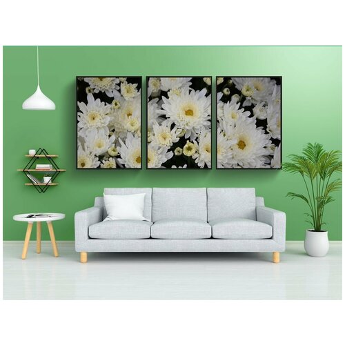 фото Набор модулных постеров для интерьера "белые цветы, белых хризантем, цветы природа" 60x90 см. в тубусе, без рамки lotsprints