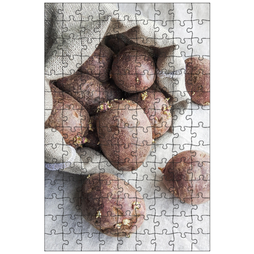 фото Магнитный пазл 27x18см."картошка, сумка, мешок" на холодильник lotsprints