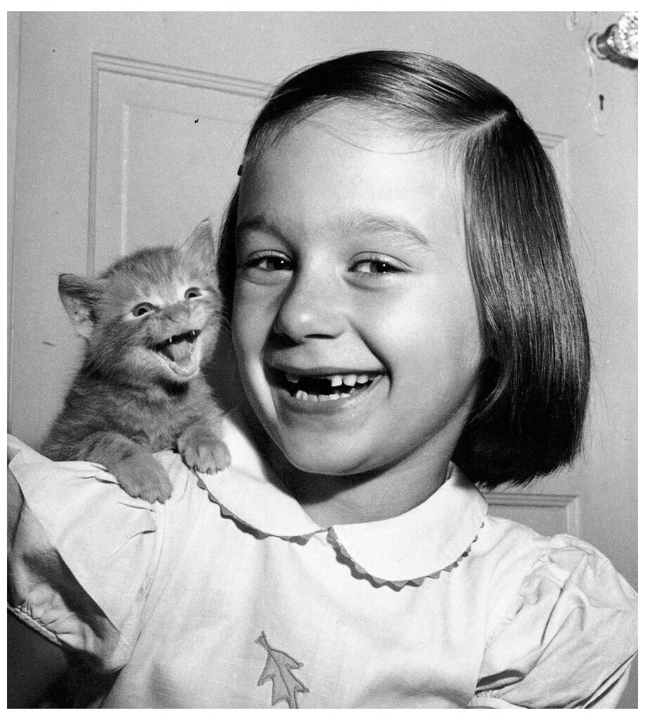 Большая книга кошек (Суаре Жан Клод) - фото №8