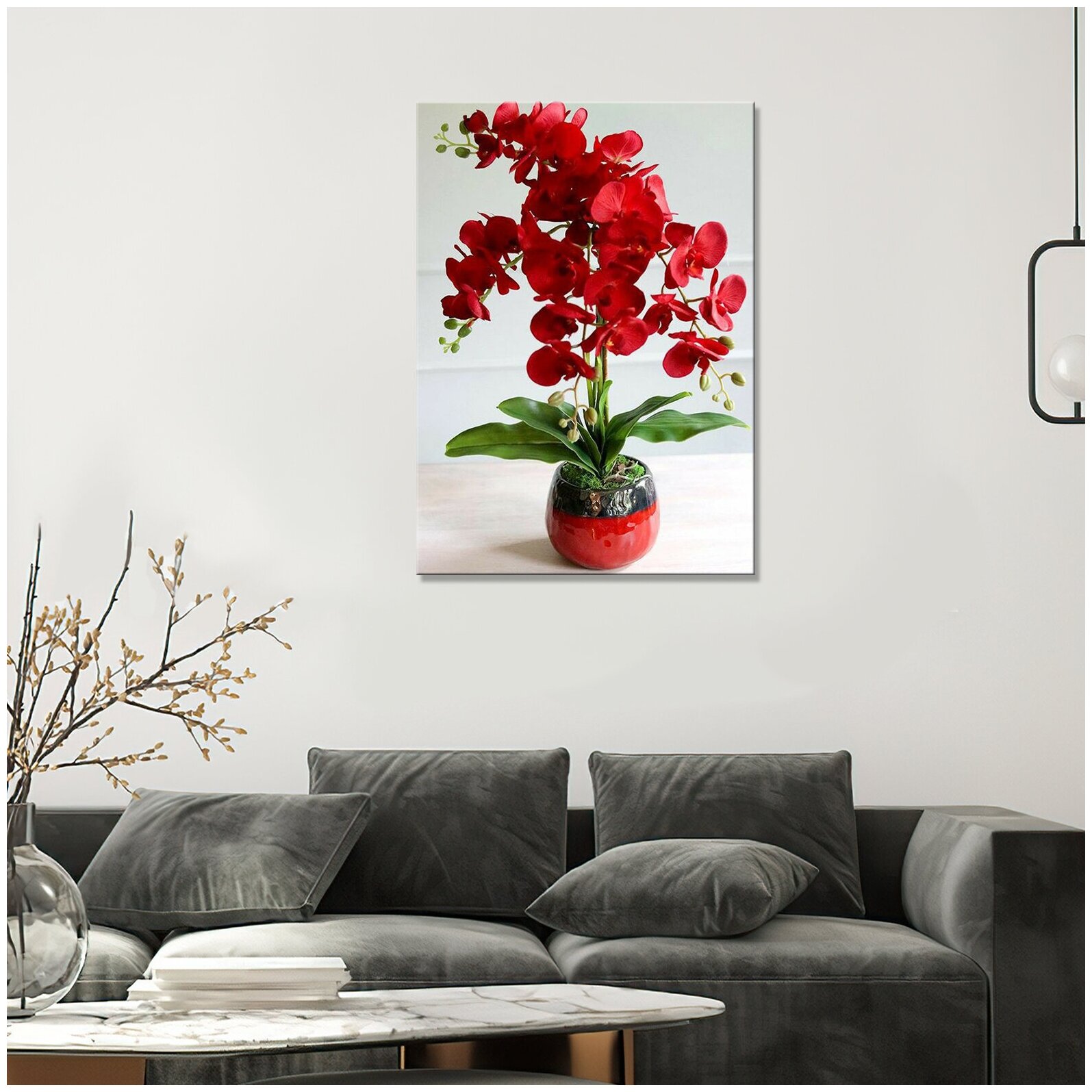 Интерьерная картина на холсте / картина на стену - Ярко-красная орхидея фенилопсис 20х30