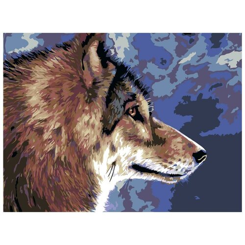 девочка и белый волк раскраска картина по номерам на холсте Волк Раскраска картина по номерам на холсте