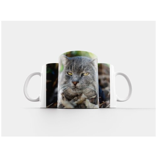 фото Кружка "домашняя кошка, feline, животное" 320 мл lotsprints
