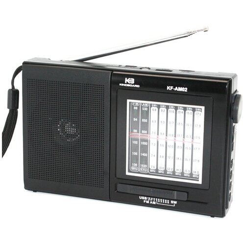 AT-Pulsar Kingboard KF-AM02 USB MP-3 TF 171000₽