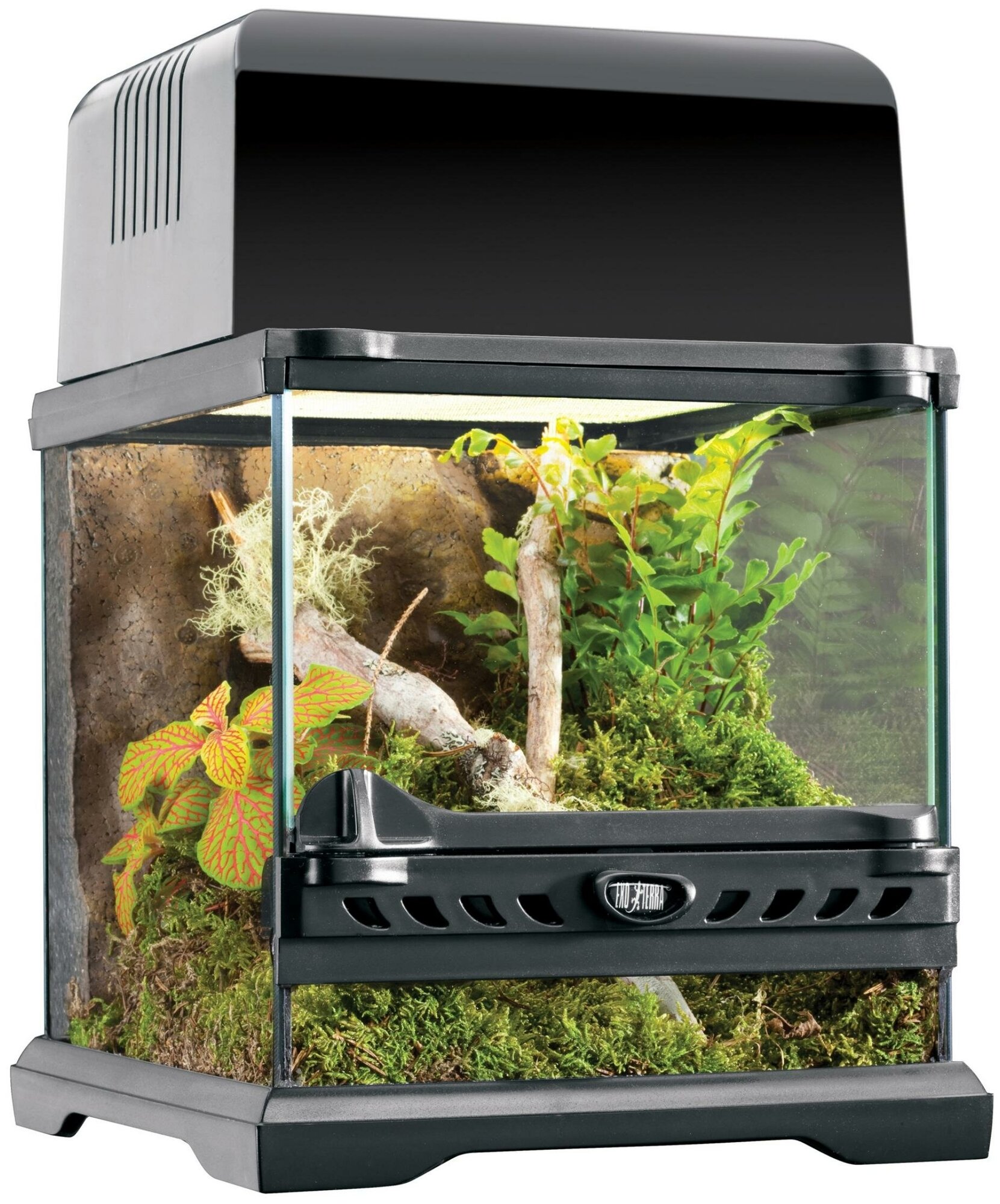 Террариум из силикатного стекла Hagen ExoTerra Natural Terrarium Nano Wide 20х20х20 см - фотография № 1