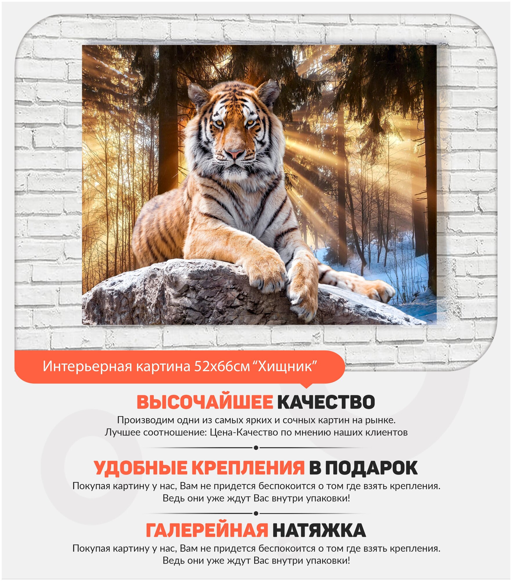 Картина на холсте для интерьера "Тигр в лучах солнца" 52х66 см К0234