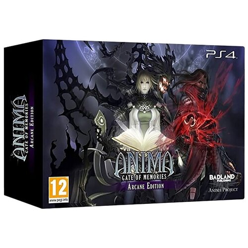 Игра для PlayStation 4 Anima: Gate of Memories. Arcane Edition