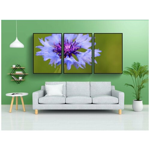 фото Набор модулных постеров для интерьера "васильковый, остроконечный цветок, цвести" 60x90 см. в тубусе, без рамки lotsprints