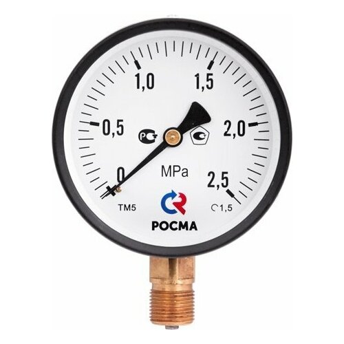 Росма Манометр Росма ТМ-510 D-100 0,6 МПа радиальный G-1/2