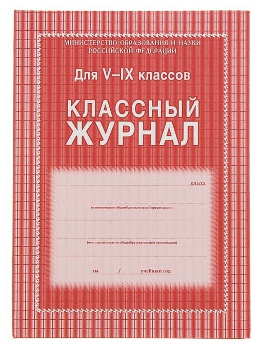 Классный журнал для 5-9 классов А4, 168 страниц, твердая ламинированная обложка, блок офсет 65г/м2