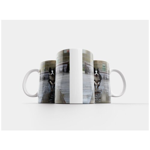 фото Кружка "бордер-колли, городской фонтан, бегущая собака" 320 мл lotsprints