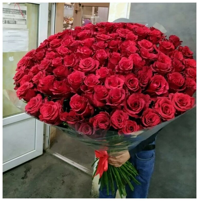 Букет Высокие Розы, 101 шт / Гигантские (Длинные) Розы / Доставка Цветов / 101 роза, 100 см (1 метр), метровые